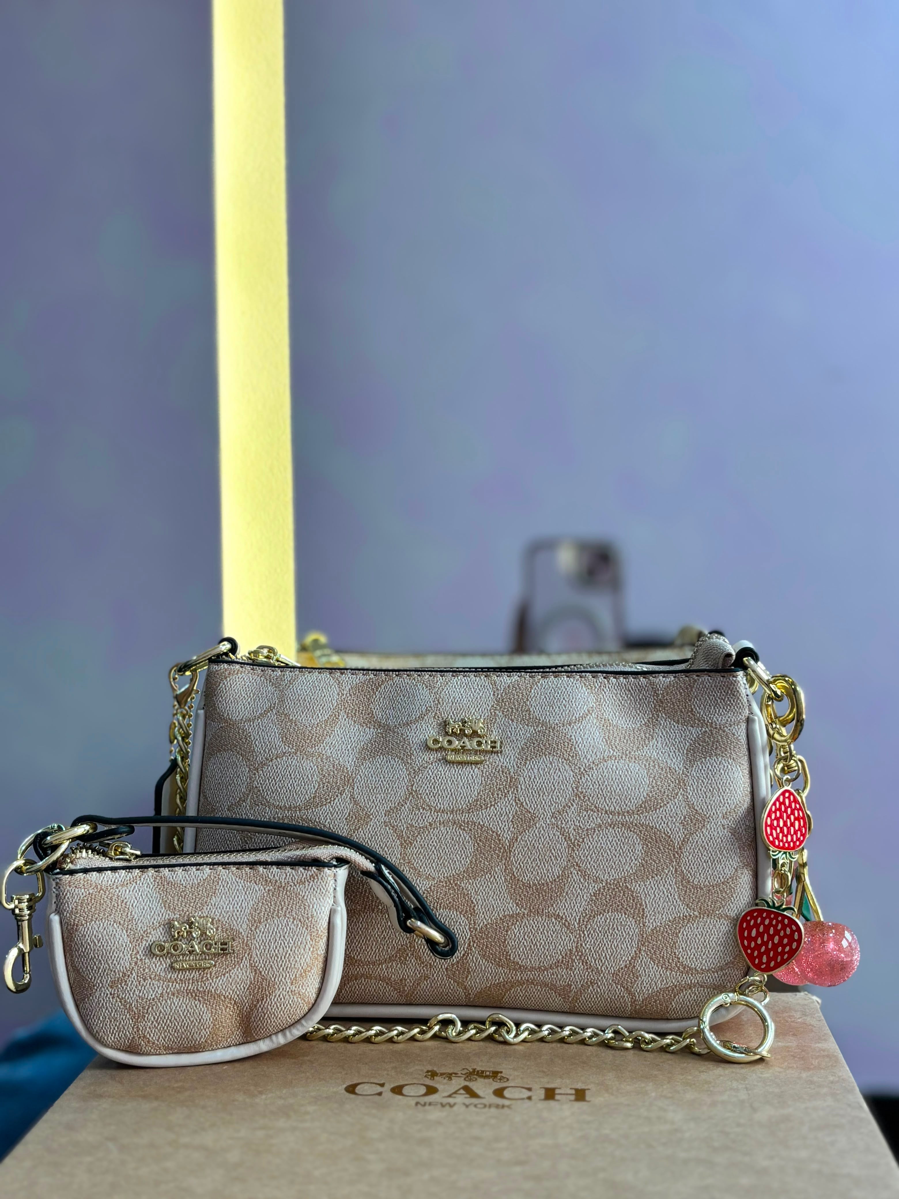 Bolso Dama