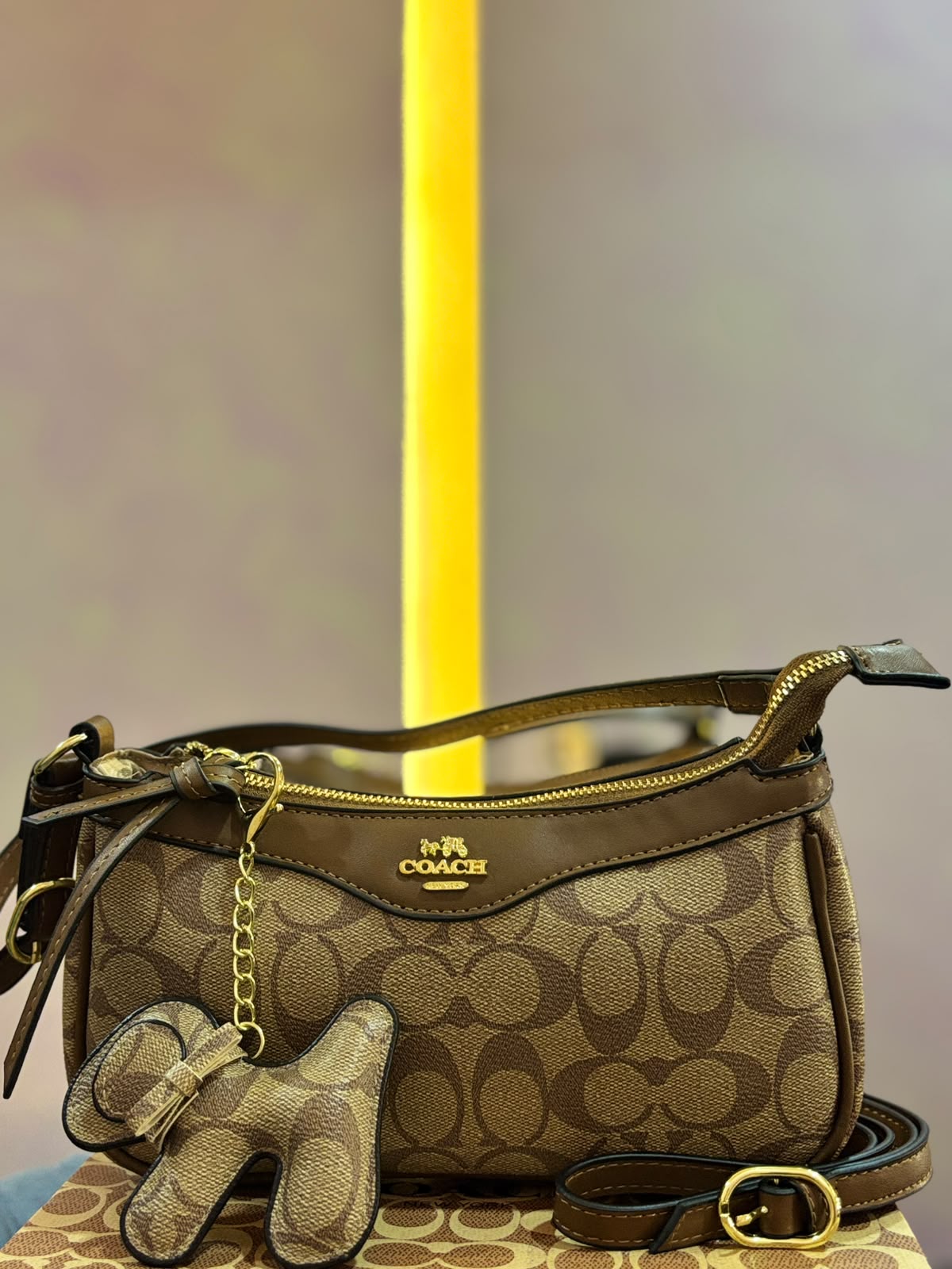 Bolso Dama